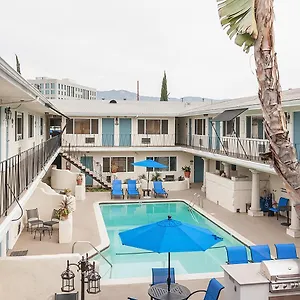 2* Hotel 2021 Olive